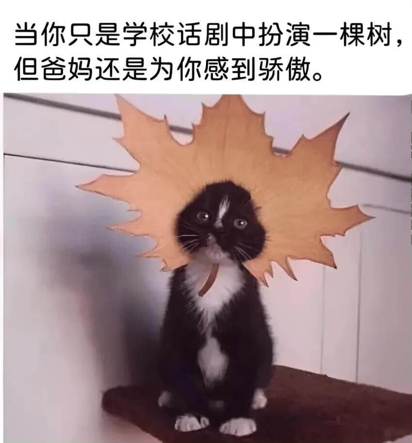 当你只是学校话剧中扮演一棵树，但爸妈还是为你感到骄傲。