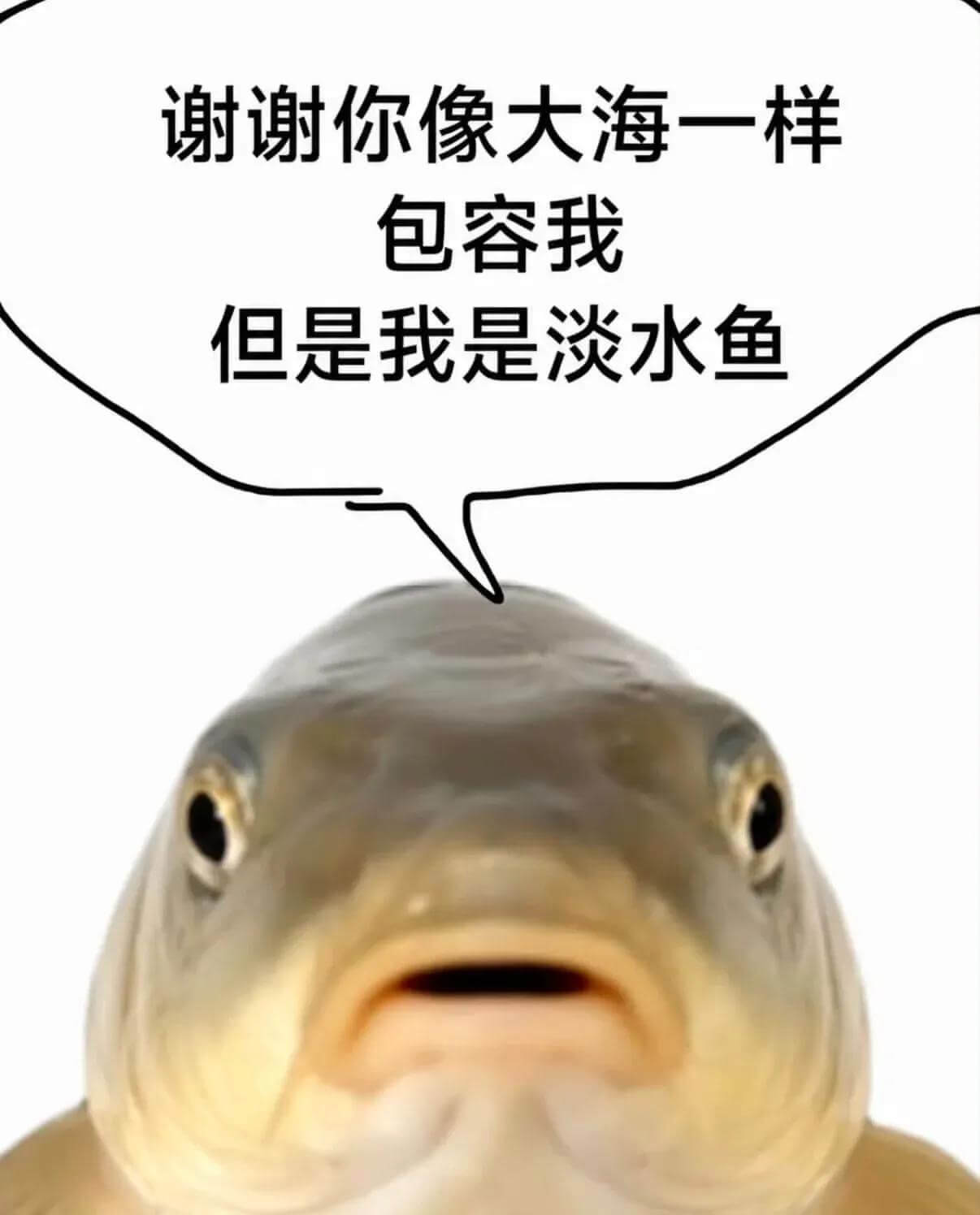 谢谢你像大海一样包容我，但是我是淡水鱼。