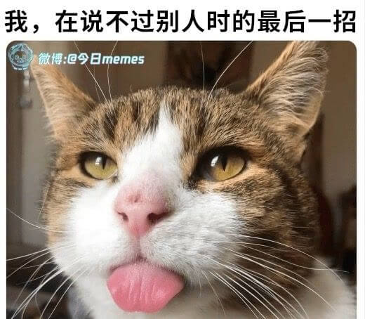 我，在说不过别人时的最后一招微博：今日memes
