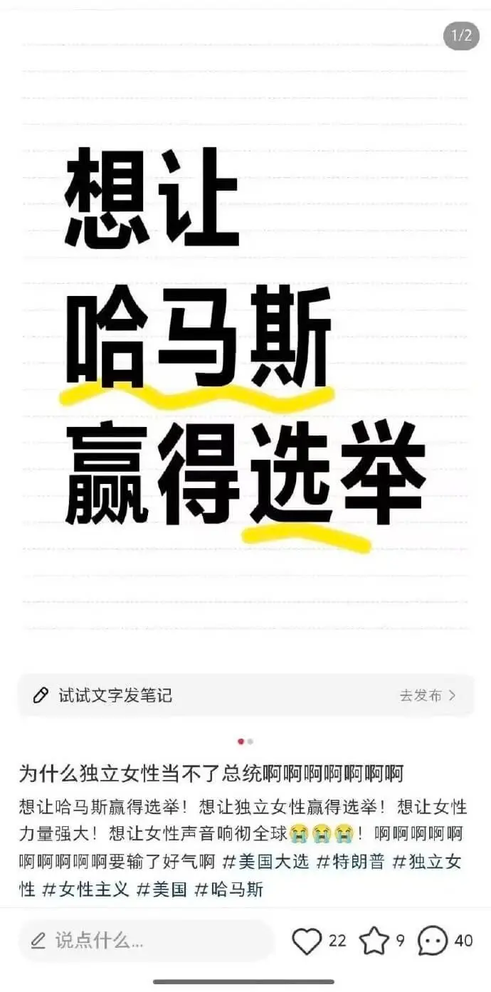 想让哈马斯赢得选举！想让独立女性赢得选举！想让女性力量强大！