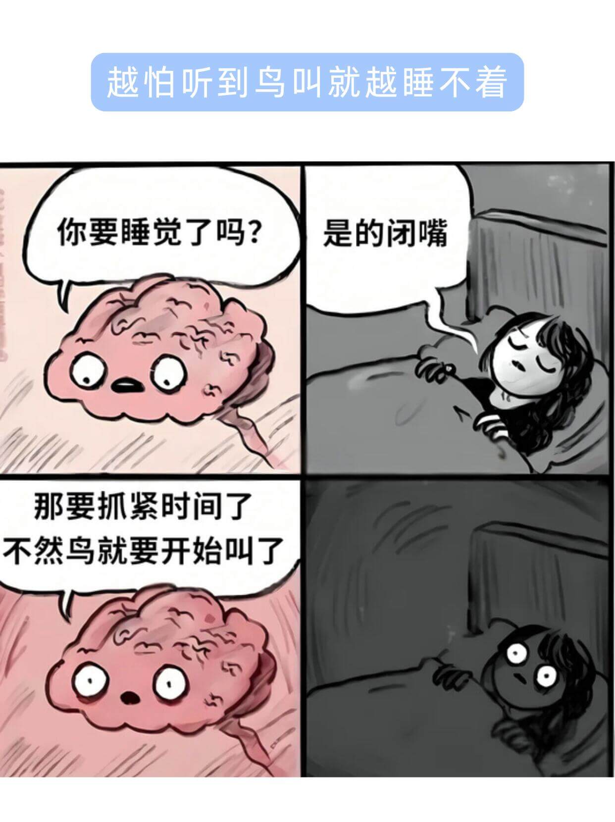 越怕听到鸟叫就越睡不着你要睡觉了吗？是的闭嘴那要抓紧时间了不