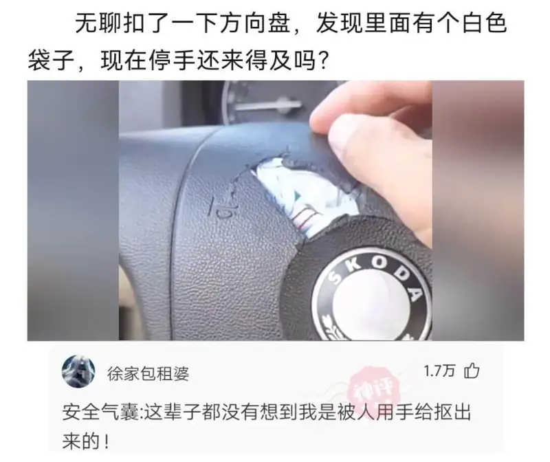 无聊扣了一下方向盘，发现里面有个白色袋子。现在停手还来得及吗