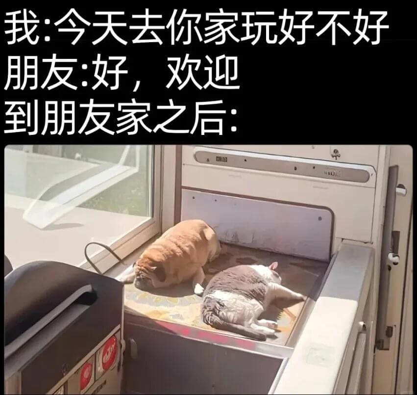 我：今天去你家玩好不好？朋友：好，欢迎！到朋友家之后：