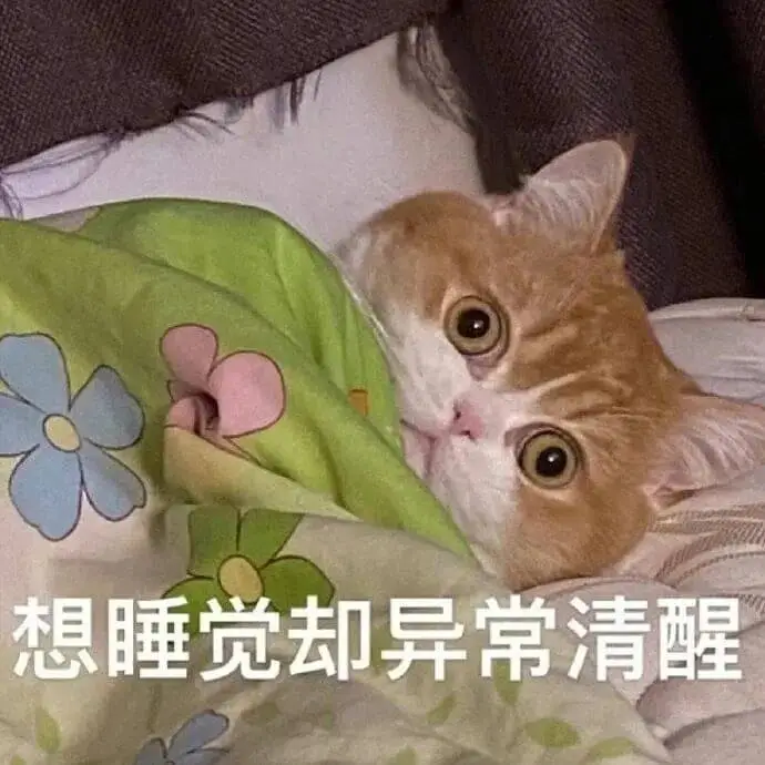 想睡觉却异常清醒