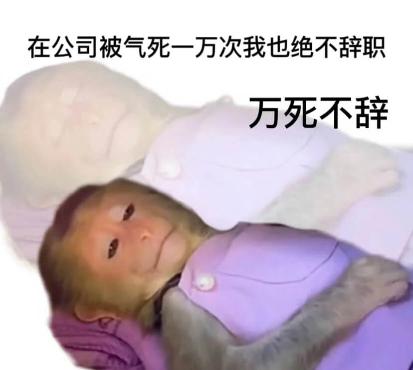 在公司被气死一万次我也绝不辞职万死不辞