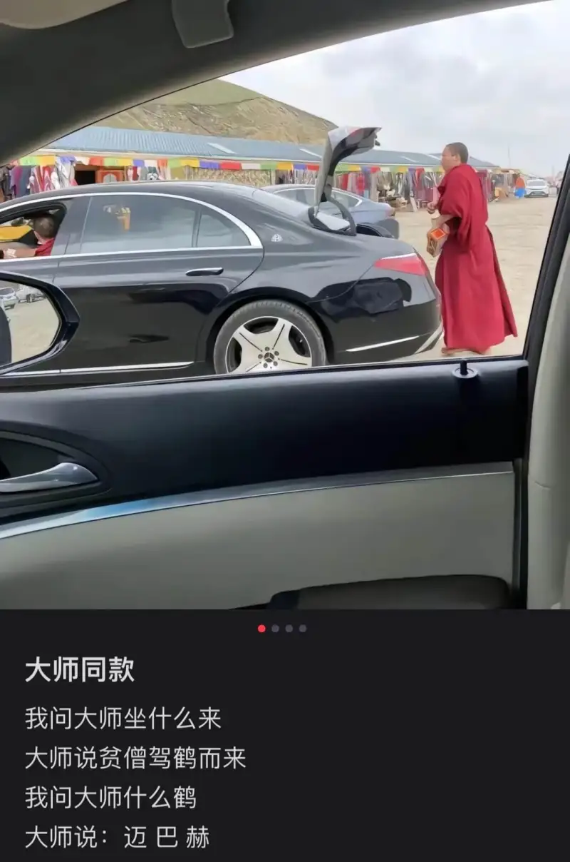 大师同款我问大师坐什么来大师说贫僧驾鹤而来我问大师什么鹤大师