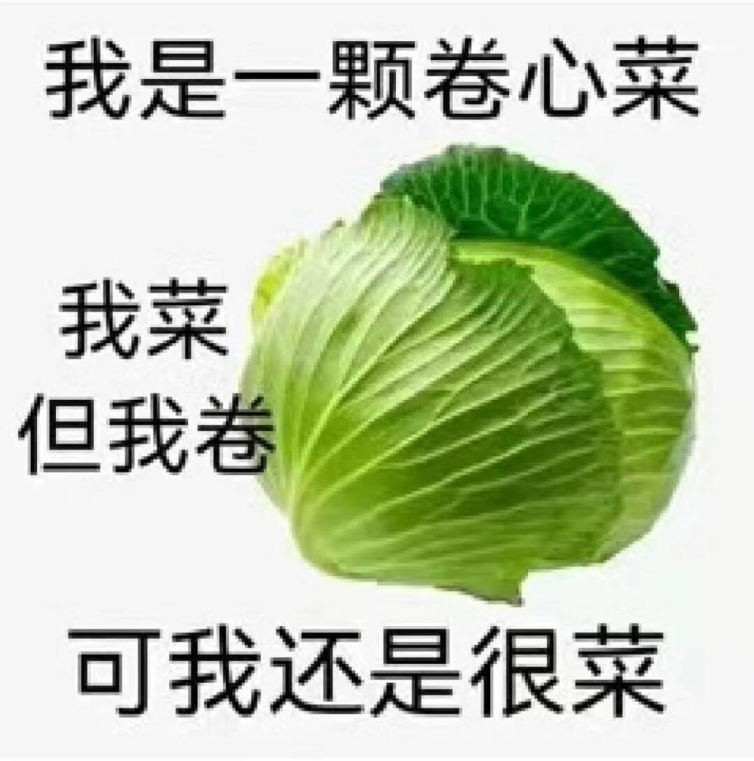 我是一颗卷心菜我菜但我卷可我还是很菜