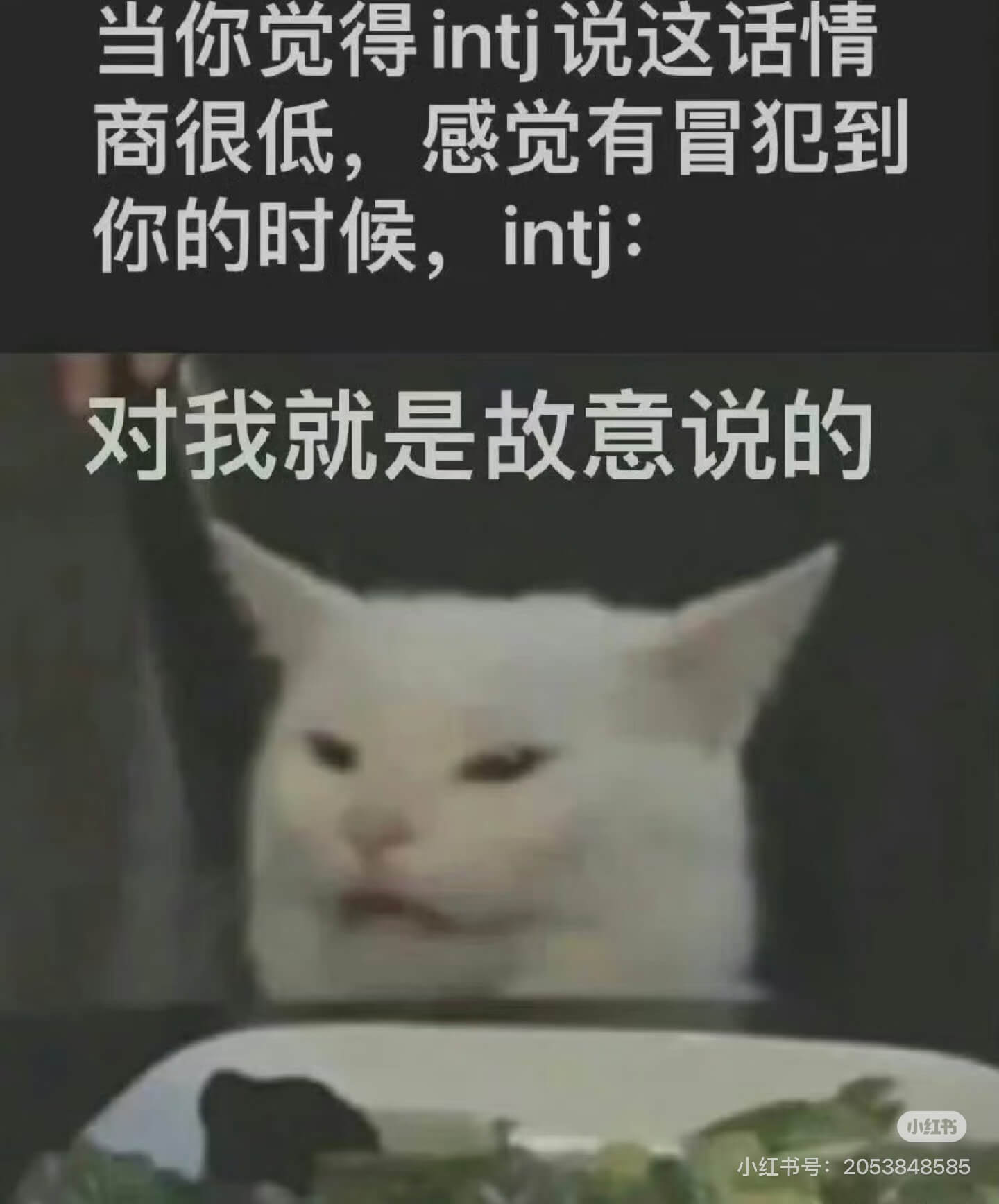 当你觉得intj说这话情商很低，感觉有冒犯到你的时候，int