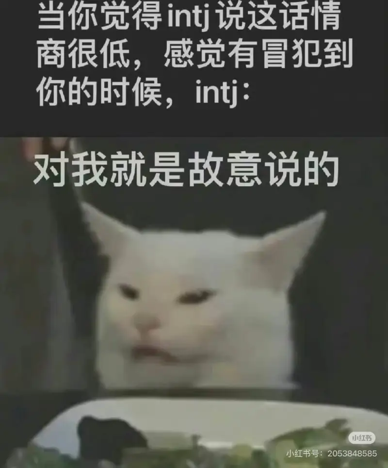 当你觉得intj说这话情商很低，感觉有冒犯到你的时候，int