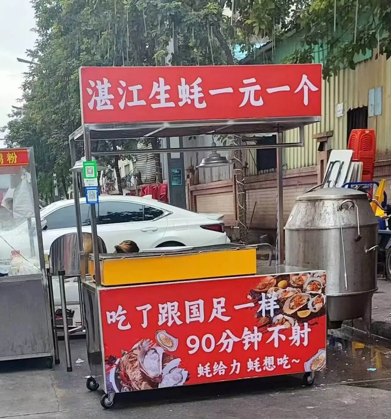 湛江生蚝一元一个，鸡粉。吃了跟国足一样，90分钟不射。蚝给力