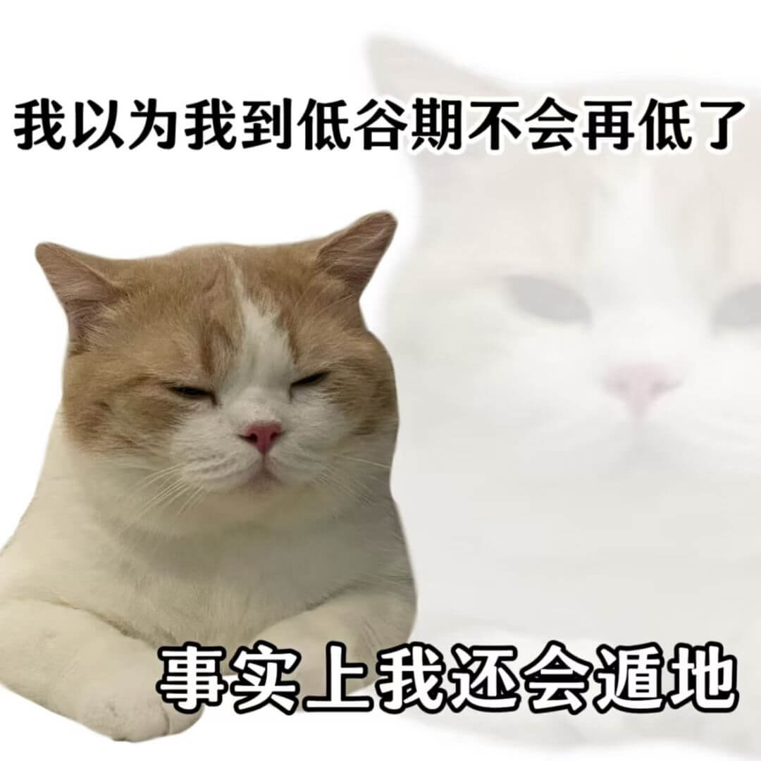 我以为我到低谷期不会再低了事实上我还会遁地