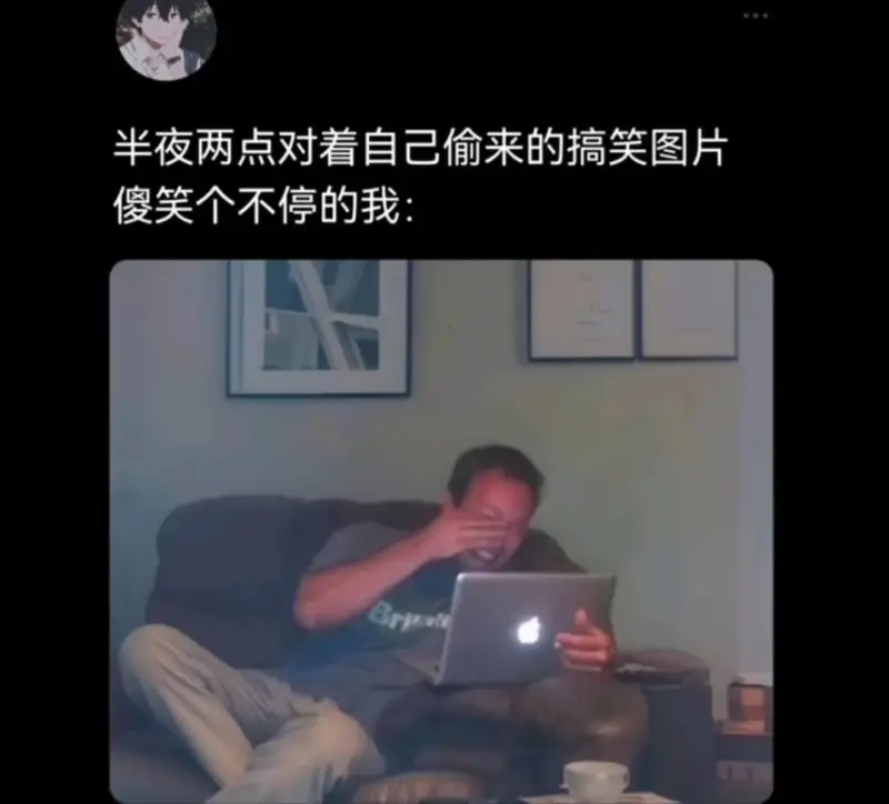 半夜两点对着自己偷来的搞笑图片傻笑个不停的我