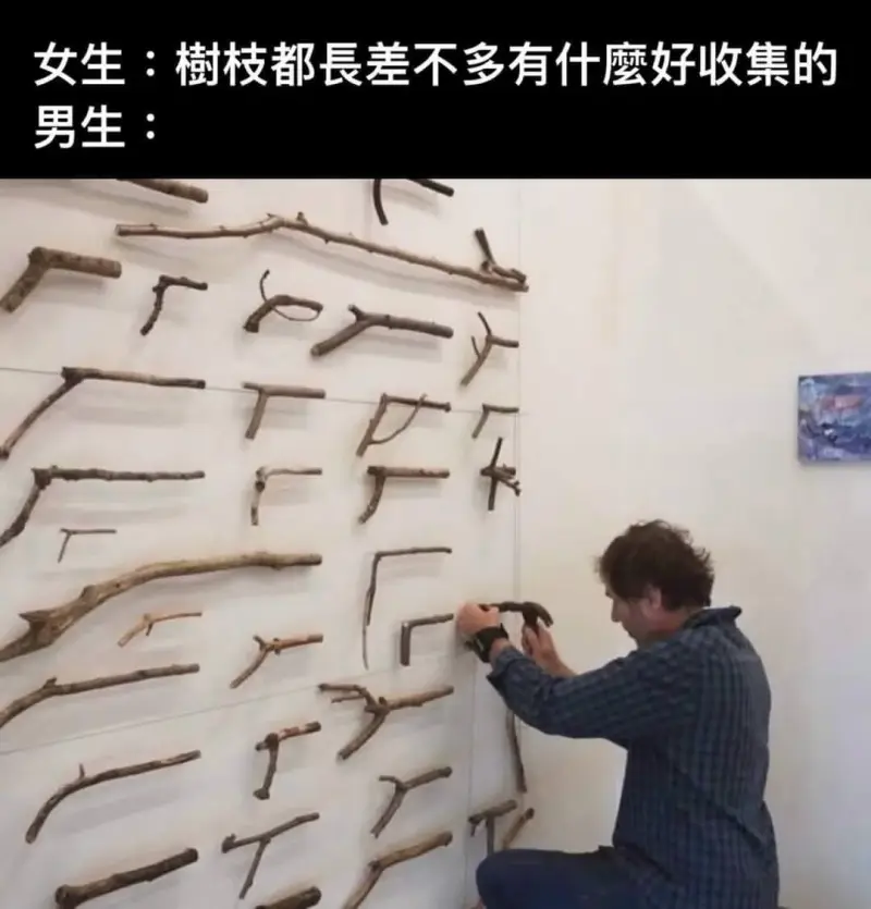 女生：樹枝都長差不多有什蘑好收集的男生：