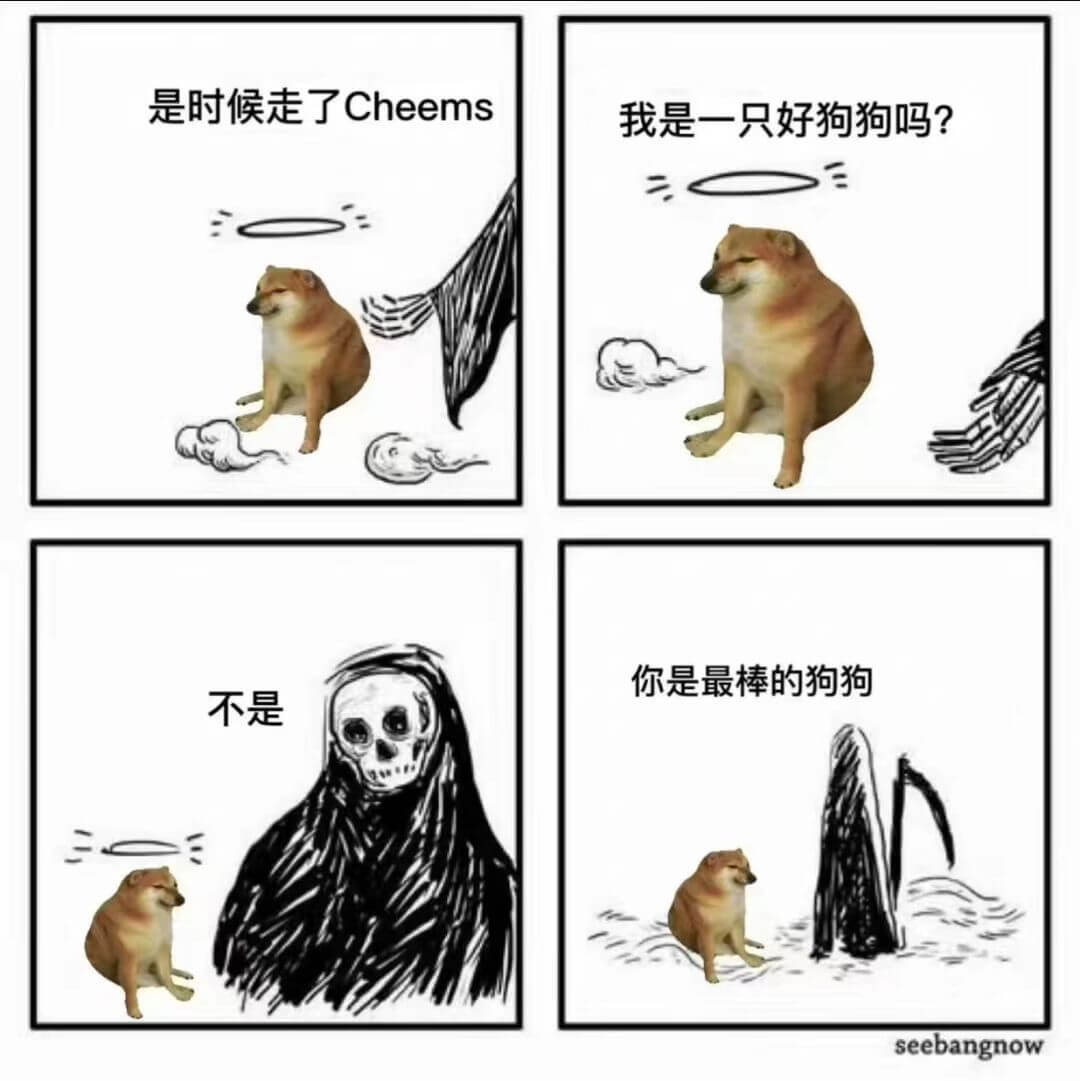 是时候走了Cheems我是一只好狗狗吗？你是最棒的狗狗不是s