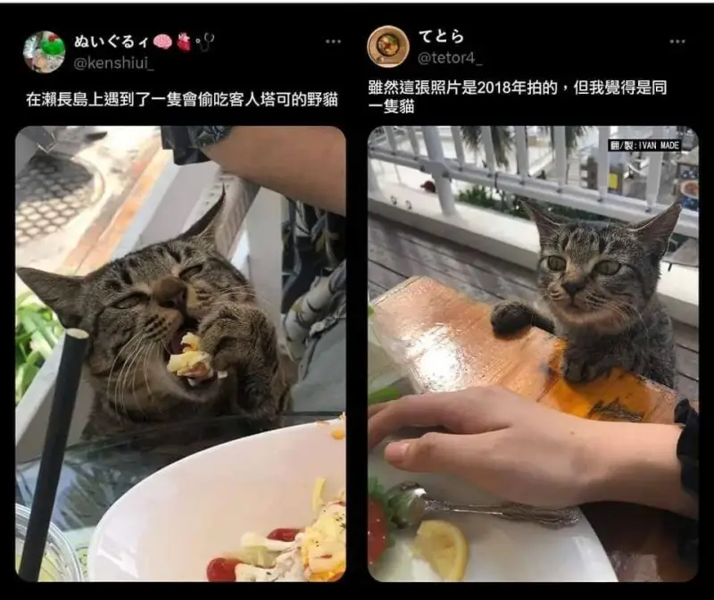 @tetor4@kenshiui虽然這张照片是2018年拍的