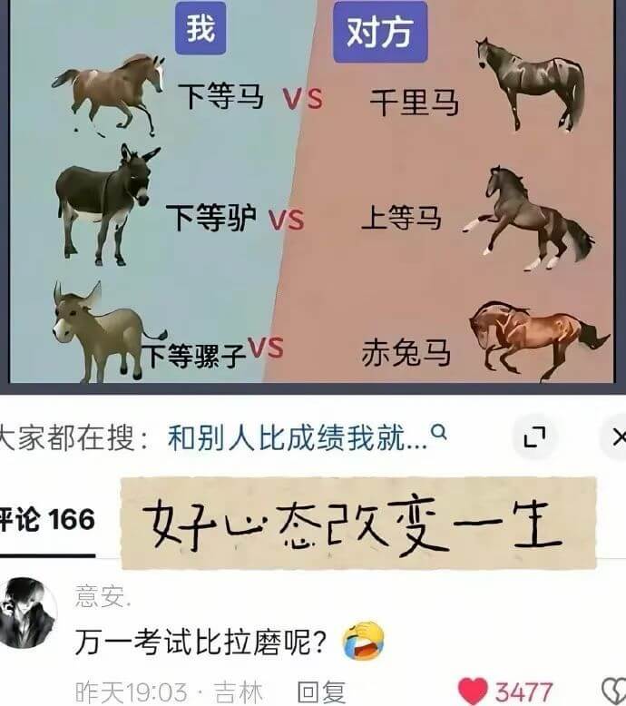我对方下等马VS千里马下等驴VS上等马下等骡子VS赤兔马家都