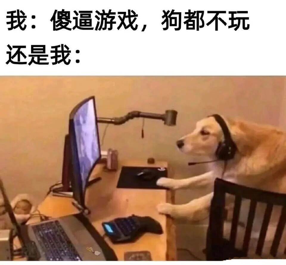 我：傻逼游戏，狗都不玩。还是我：