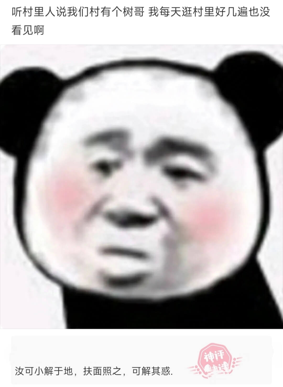 听村里人说我们村有个树哥，我每天逛村里好几遍也没看见啊。汝可