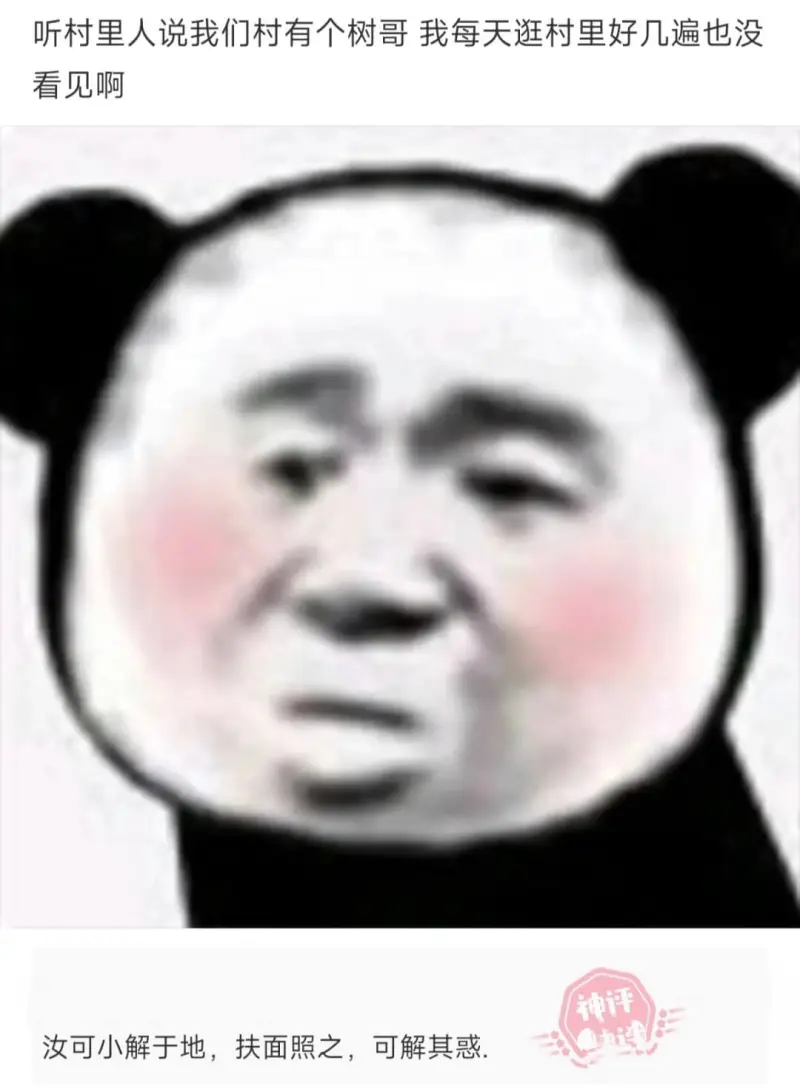 听村里人说我们村有个树哥，我每天逛村里好几遍也没看见啊。汝可