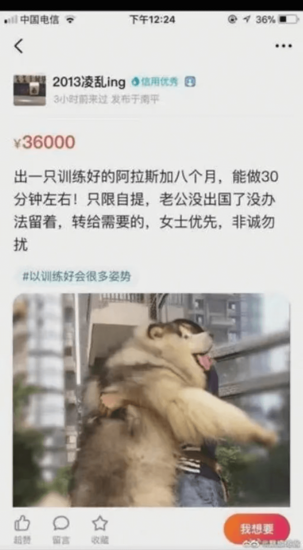 中国电信下午12:24@436%2013凌乱ing6信用优秀