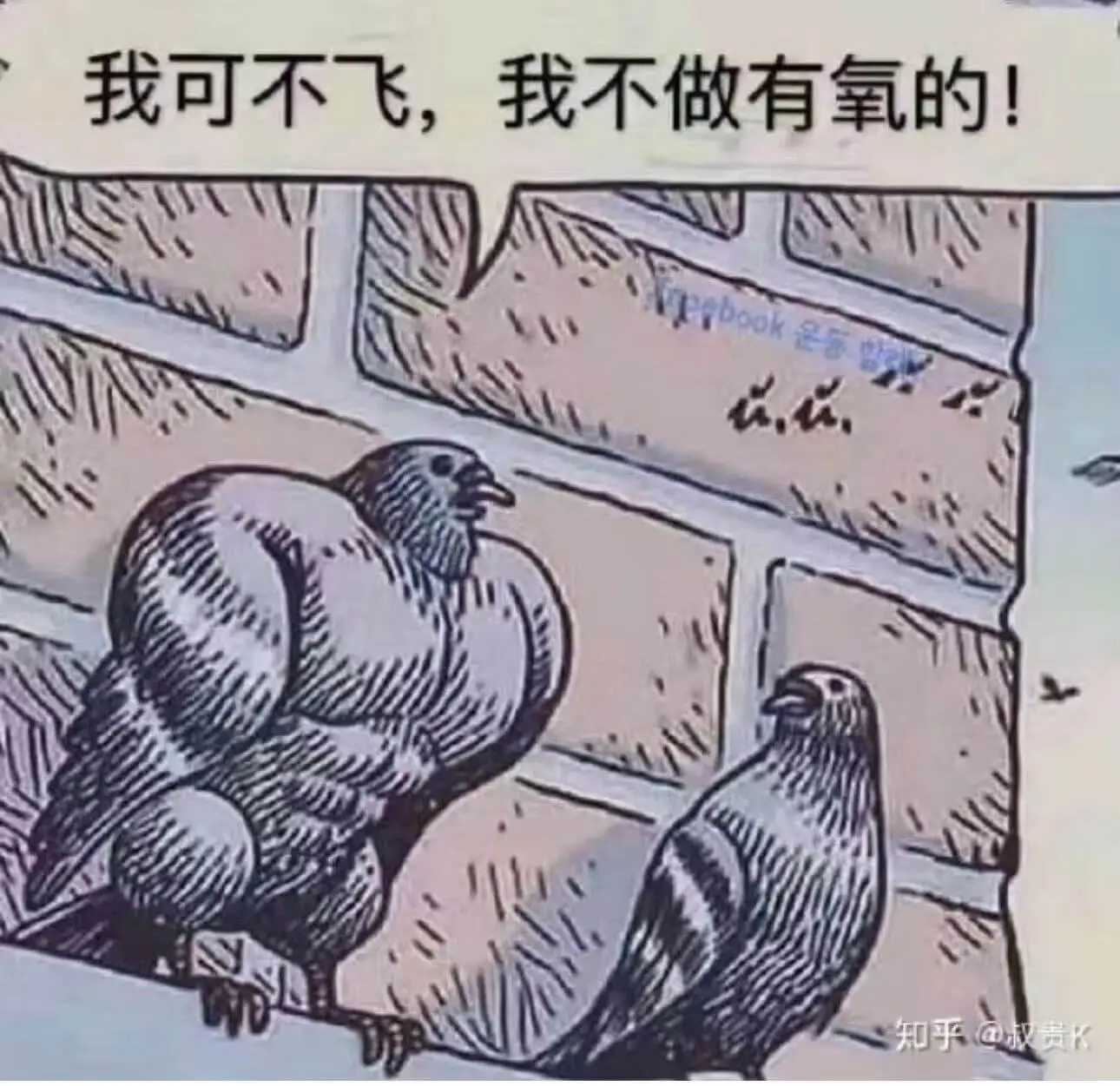 我可不飞，我不做有氧的！知乎@叔贵K