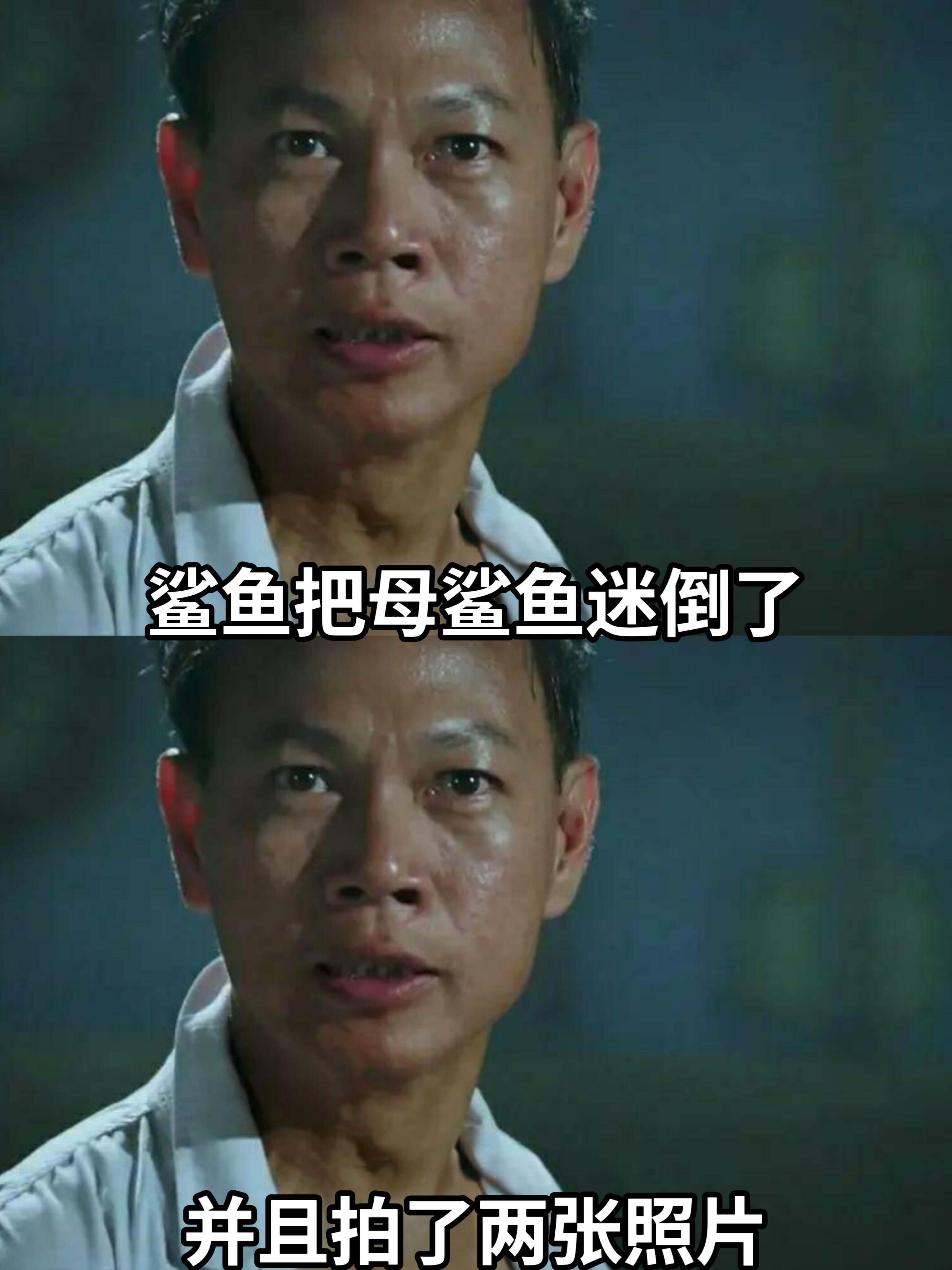 鲨鱼把母鲨鱼迷倒了，并且拍了两张照片。