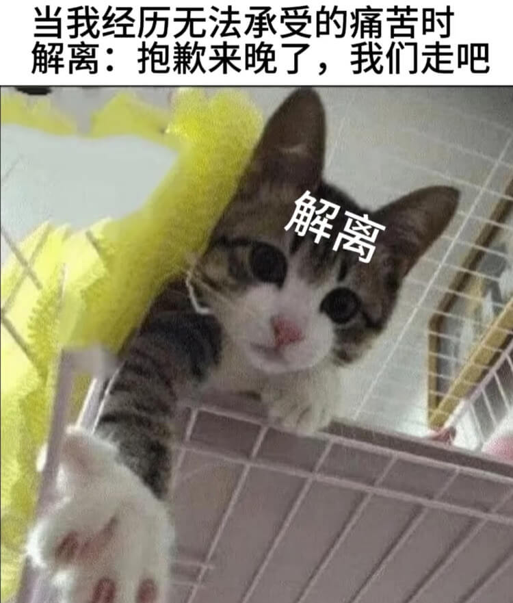 当我经历无法承受的痛苦时解离：抱歉来晚了，我们走吧解离