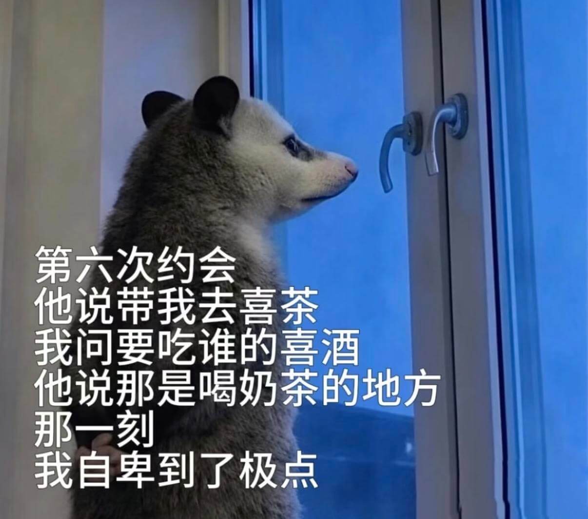 第六次约会他说带我去喜茶。我问：“要吃谁的喜酒？”他说：“那