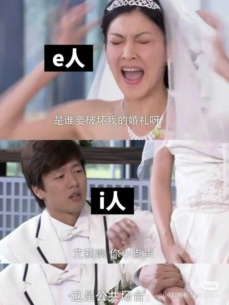 e人是谁要破坏我的婚礼呀i人艾莉啊你小点声小这是公共场合小红