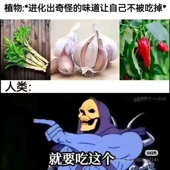 植物:*进化出奇怪的味道让自己不被吃掉*人类:小红书号:63