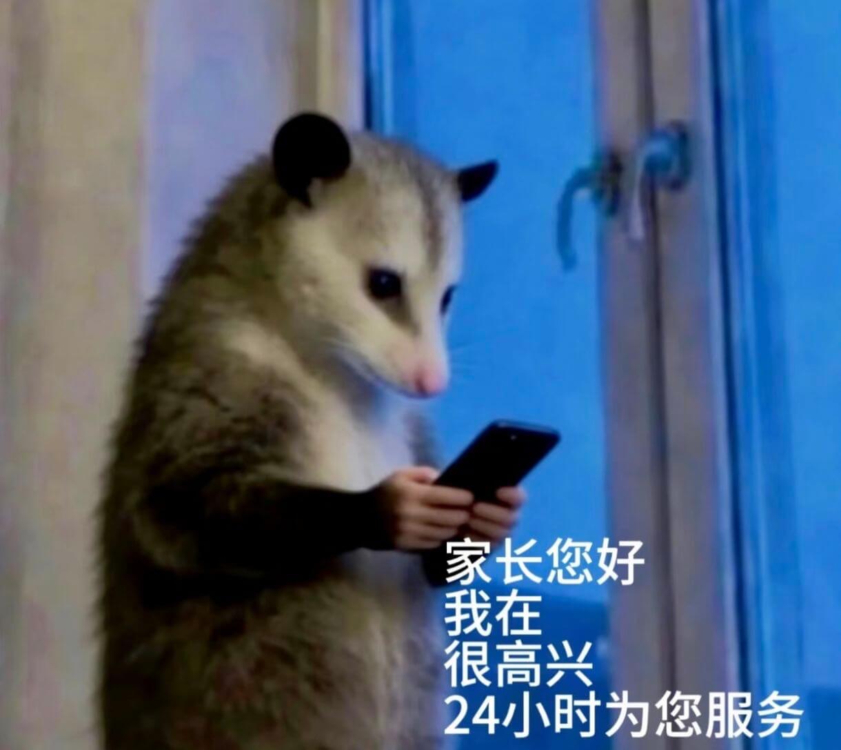 家长您好，我在，很高兴24小时为您服务。