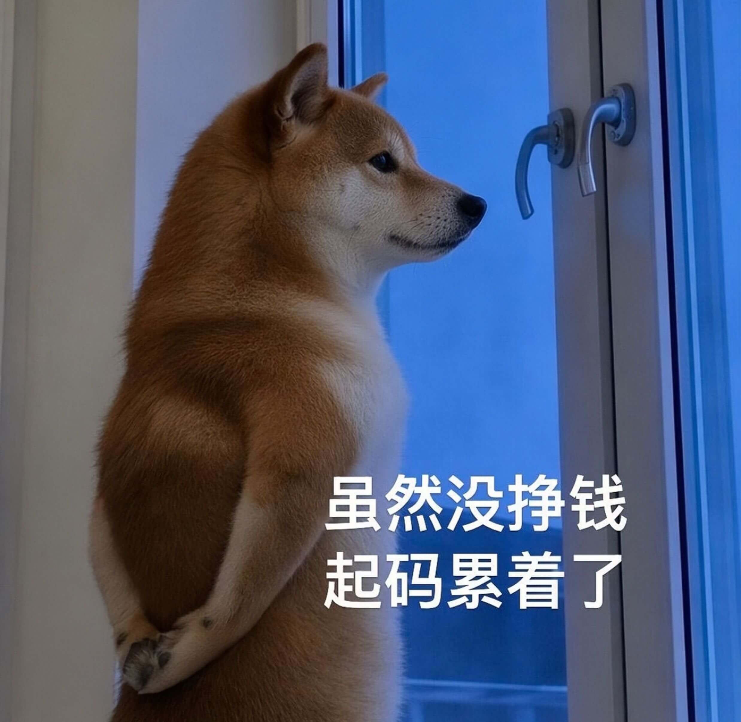 虽然没挣钱，起码累着了。