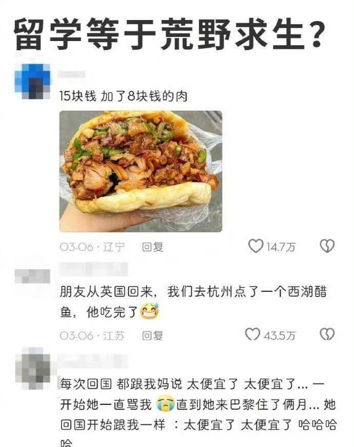 留学等于荒野求生？15块钱加了8块钱的肉。03-06·辽宁回