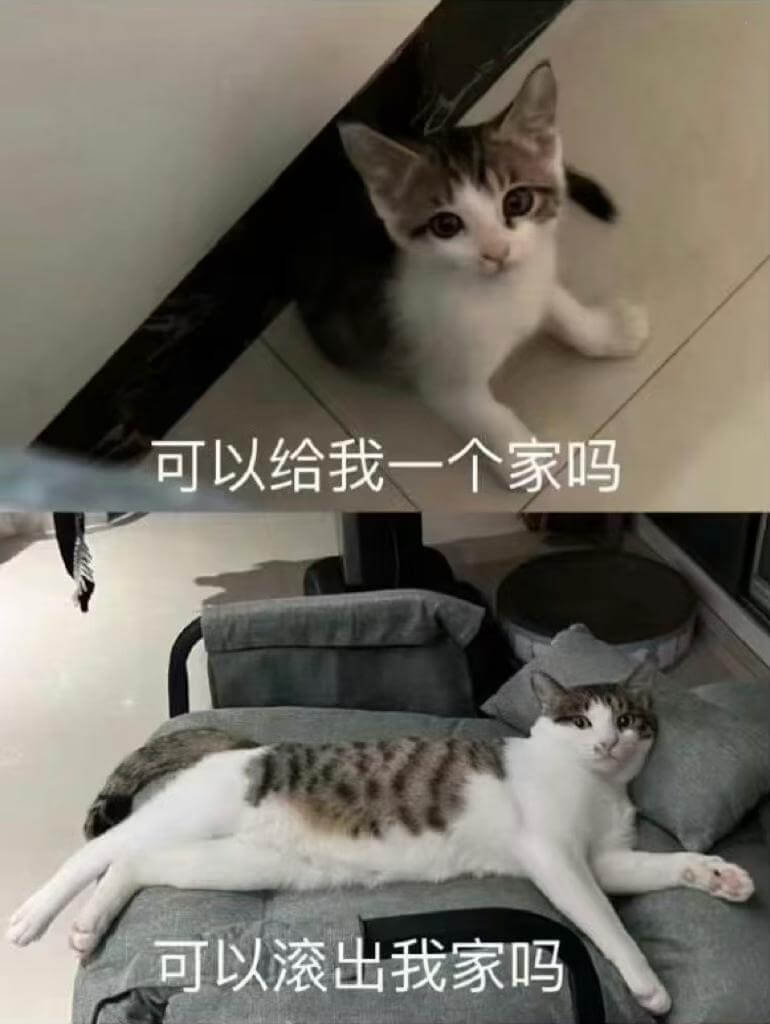 可以给我一个家吗可以滚出我家吗