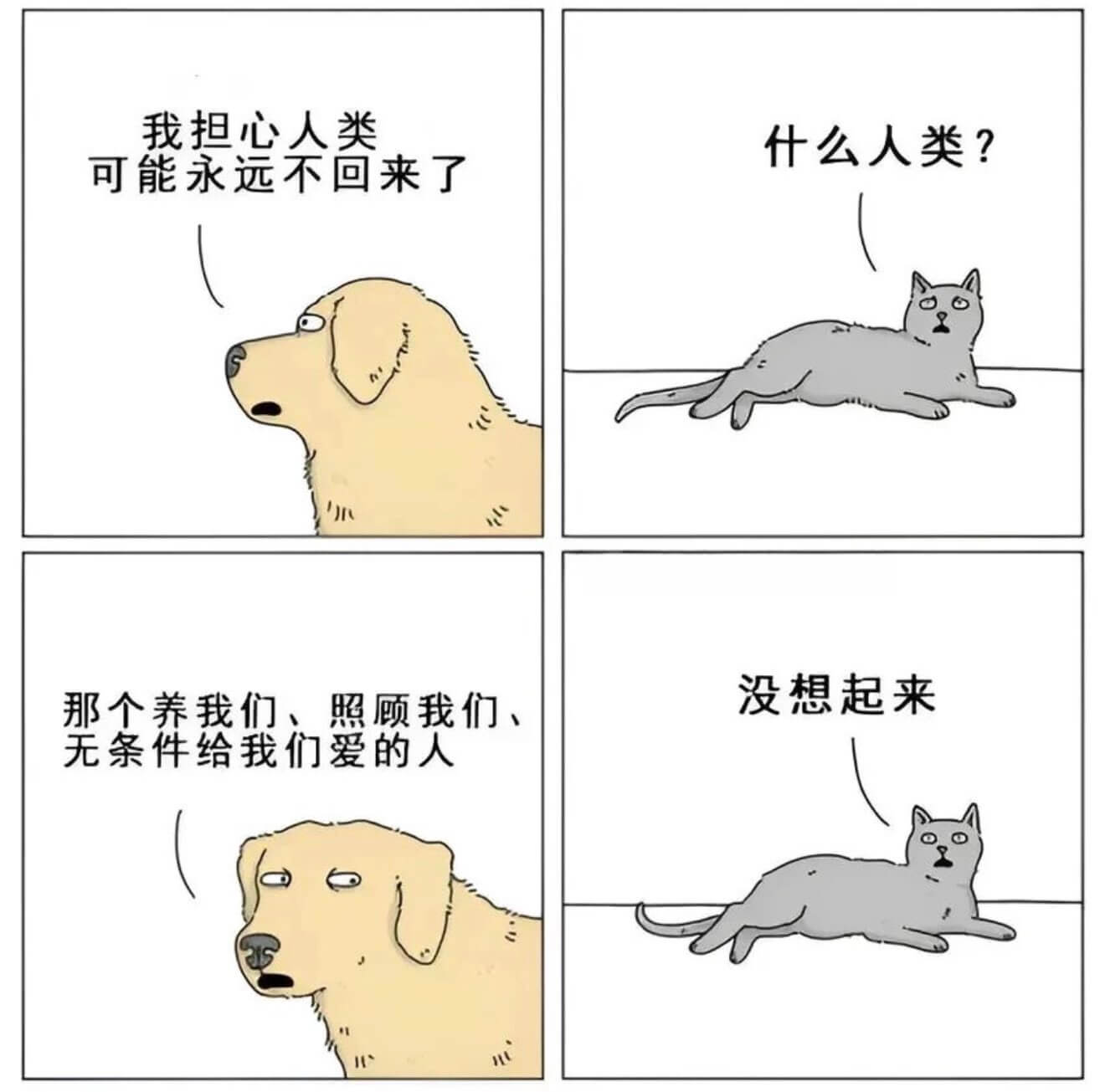 我担心人类什么人类？可能永远不回来了没想起来那个养我们、照顾