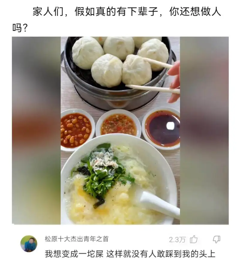 家人们，假如真的有下辈子，你还想做人吗？松原十大杰出青年之首