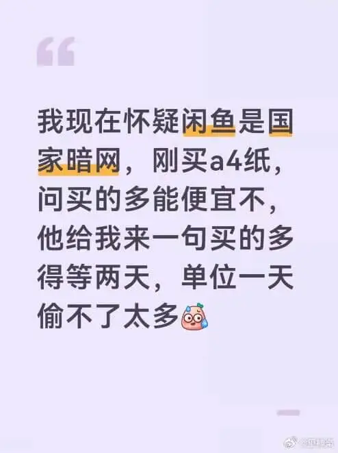 我现在怀疑闲鱼是国家暗网，刚买a4纸，问买的多能便宜不，他给