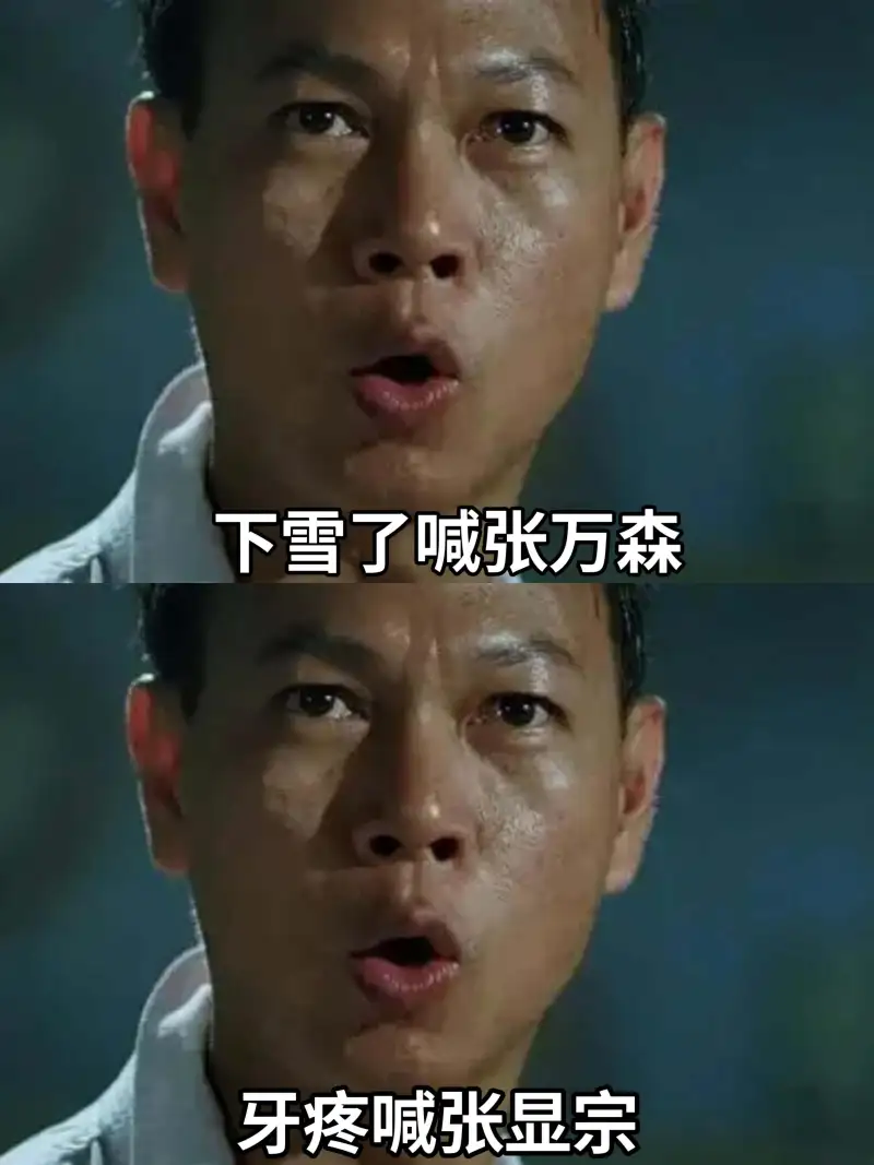 下雪了，喊张万森牙疼，喊张显宗