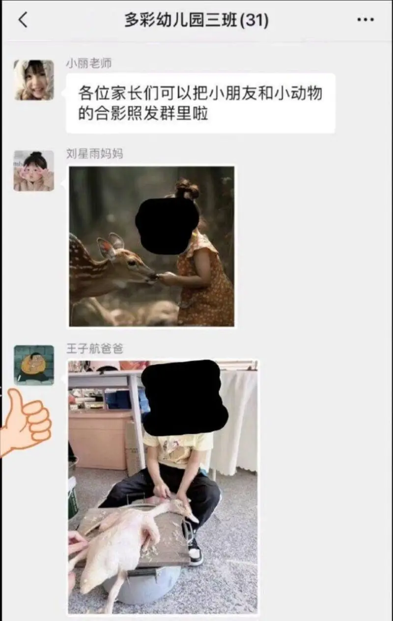 多彩幼儿园三班（31）小丽老师各位家长们可以把小朋友和小动物