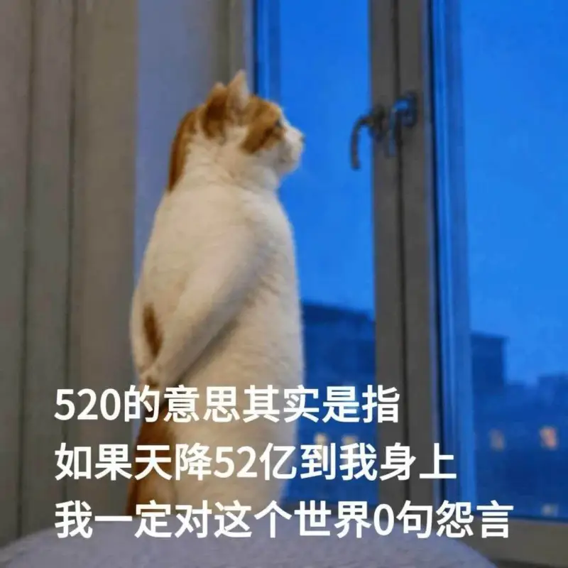 520的意思其实是指：如果天降52亿到我身上，我一定对这个世