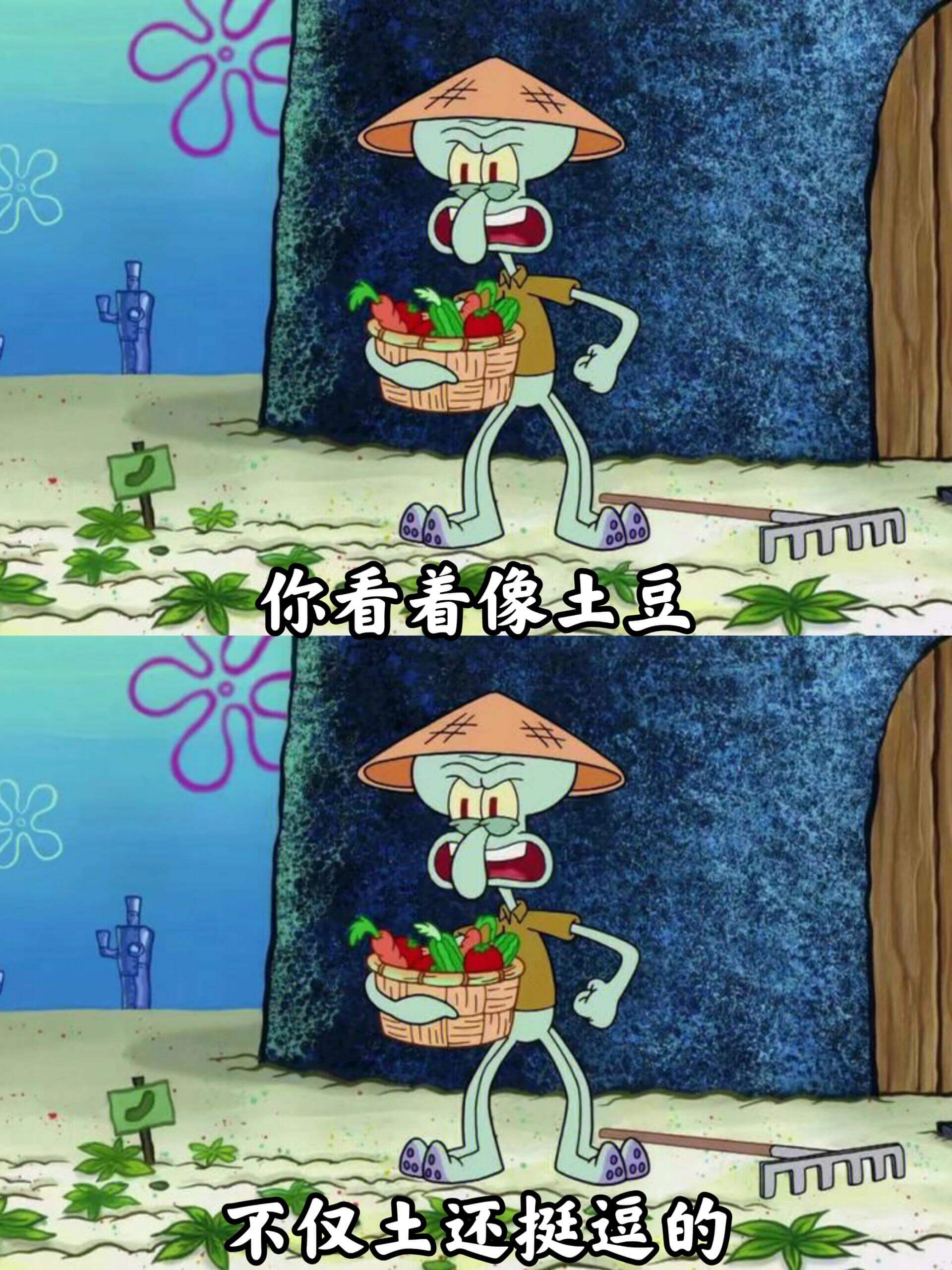 米你看着像土豆不仅土还挺逼的