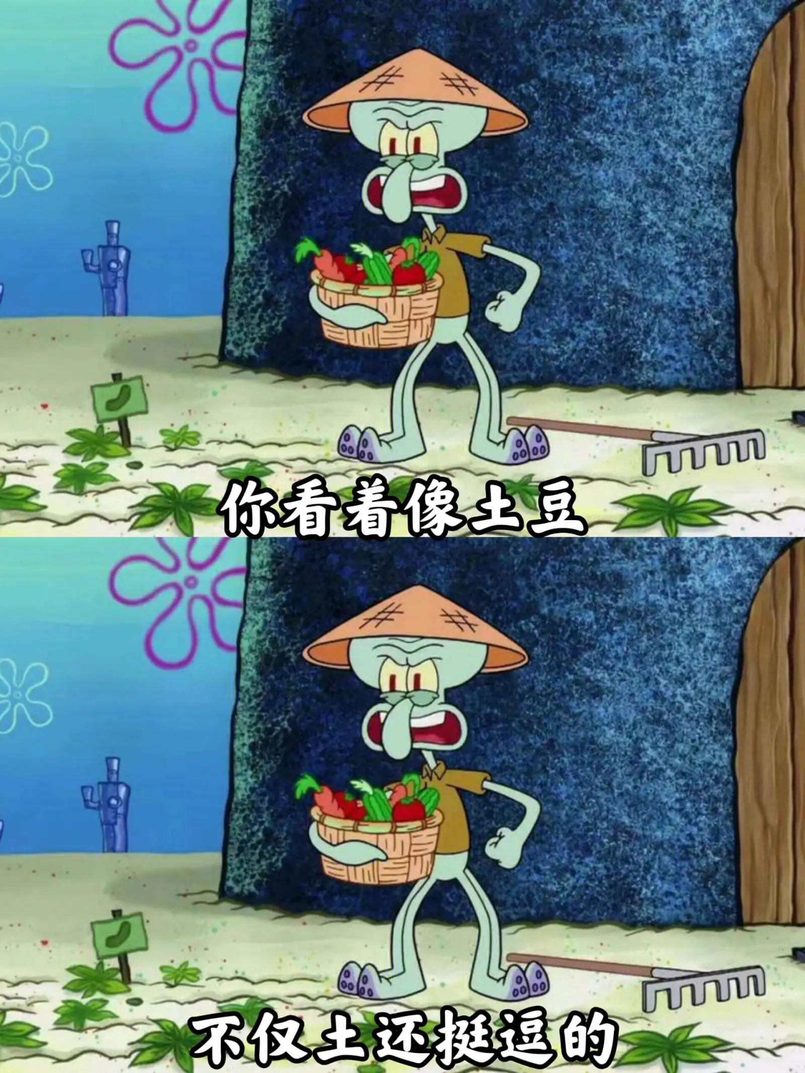米你看着像土豆不仅土还挺逼的