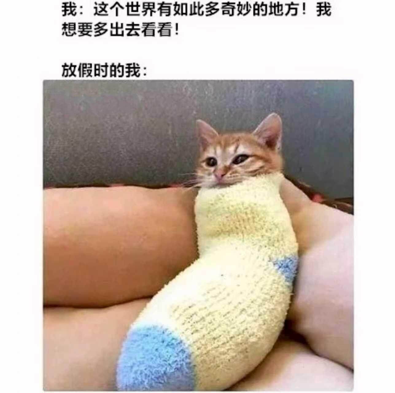 我：这个世界有如此多奇妙的地方！我想要多出去看看！放假时的我