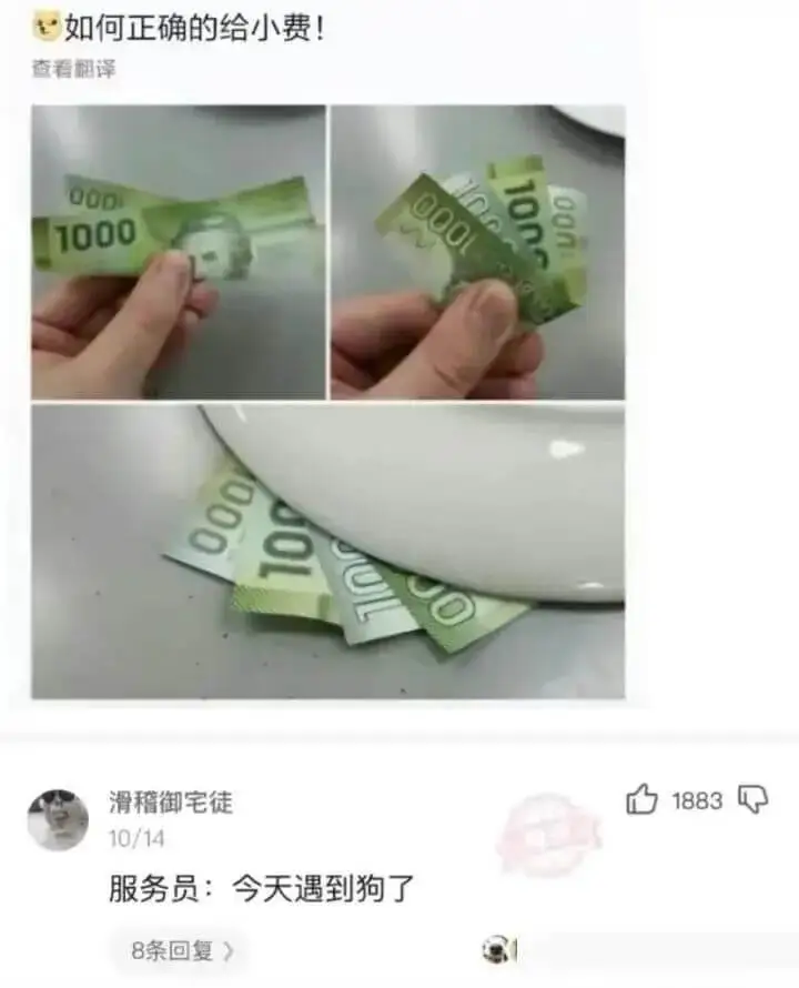 如何正确的给小费！查看翻译00DI000100n1000滑稽