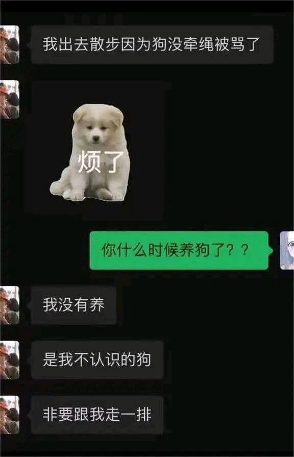 我出去散步因为狗没牵绳被骂了烦了你什么时候养狗了？？我没有养