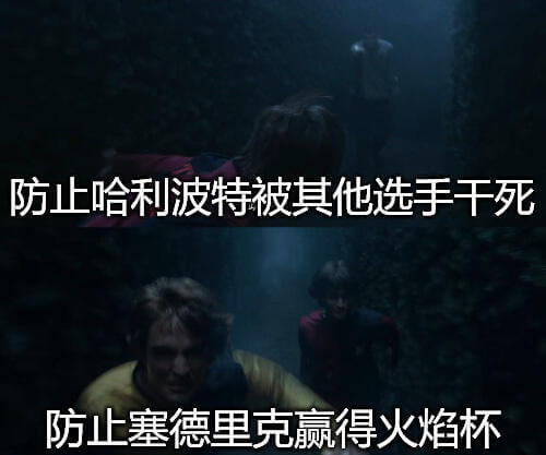 防止哈利波特被其他选手干死防止塞德里克赢得火焰杯