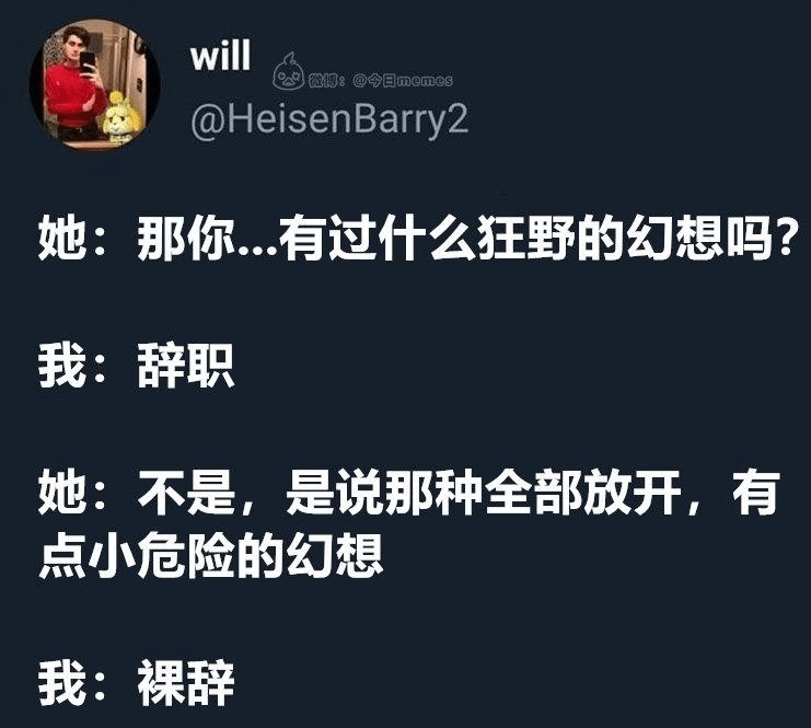 微博:微博:@今日memes@HeisenBarry2她:那