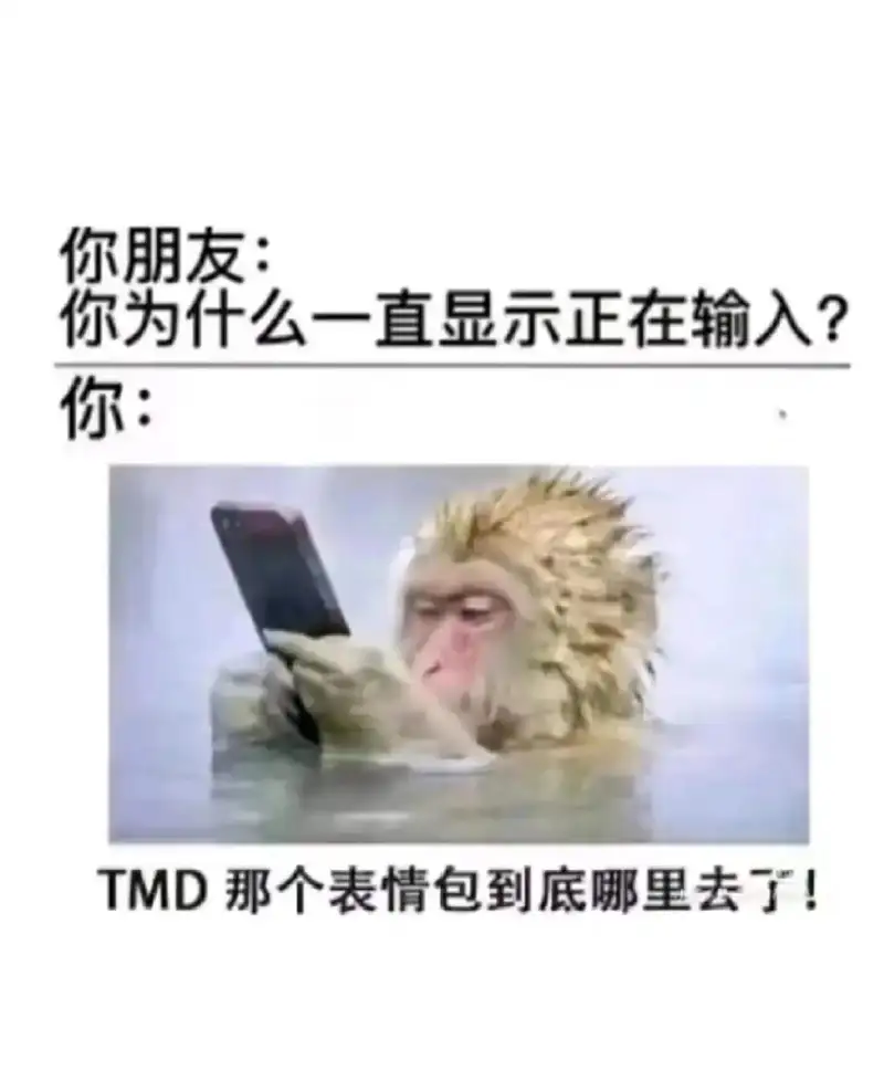 你朋友:你为什么一直显示正在输入?你:TMD那个表情包到底哪