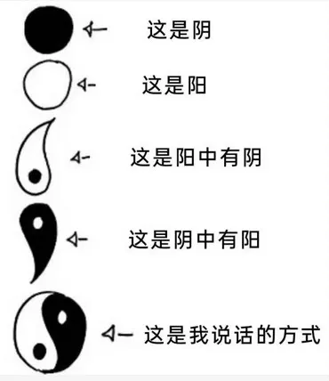 这是阴这是阳这是阳中有阴这是阴中有阳这是我说话的方式