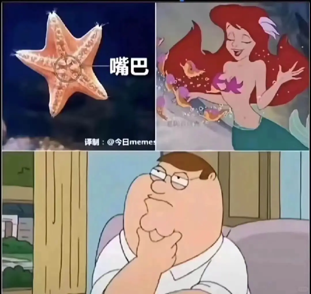 梗图